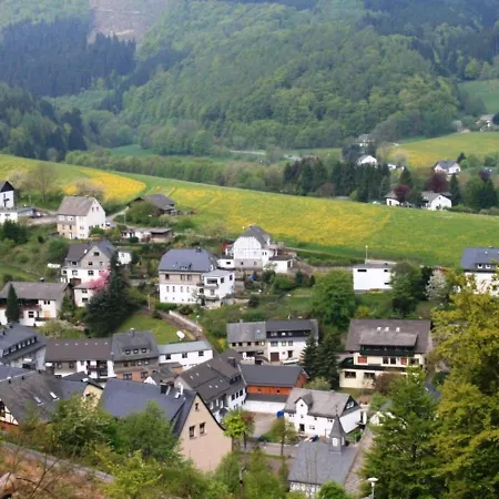Bright And Spacious Flat In Schwalefeld Near Willingen With Private Terrace Apartment Willingen (Upland)