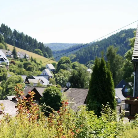 Apartment Bright And Spacious Flat In Schwalefeld Near Willingen With Private Terrace *