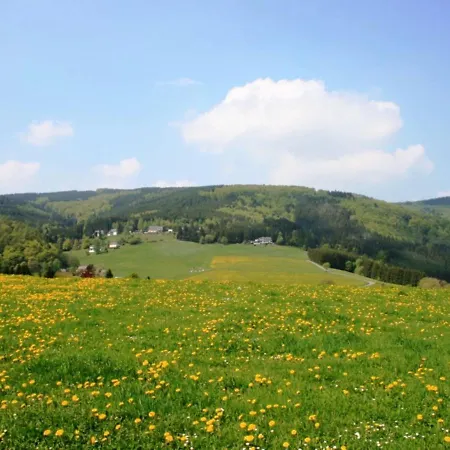 Bright And Spacious Flat In Schwalefeld Near Willingen With Private Terrace *