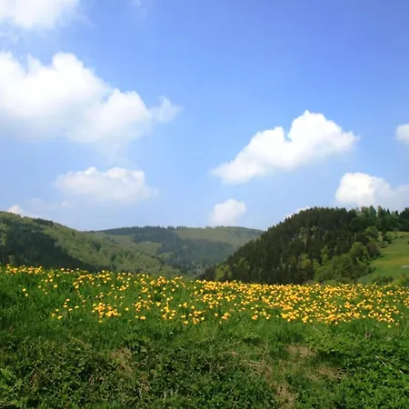 Appartement Helle Bei Mit Terrasse Willingen (Upland)