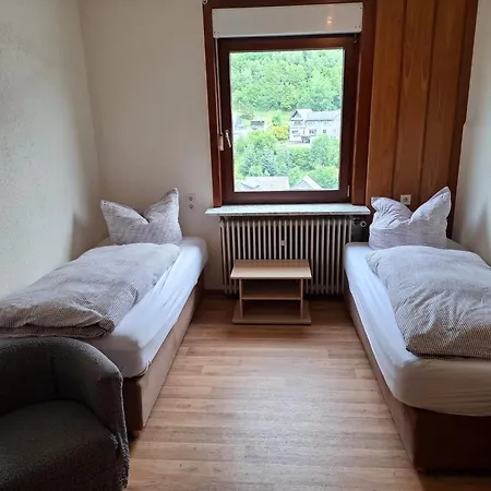 Apartment Bright And Spacious Flat In Schwalefeld Near Willingen With Private Terrace