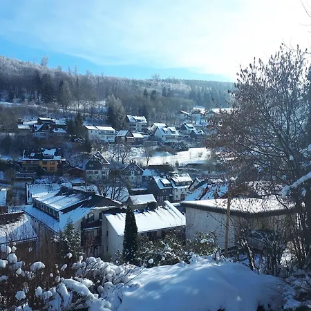 Bright And Spacious Flat In Schwalefeld Near Willingen With Private Terrace *