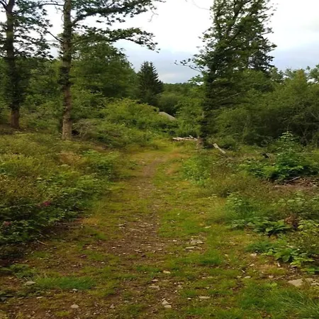 דירה Helle Bei Mit Terrasse וילינגן