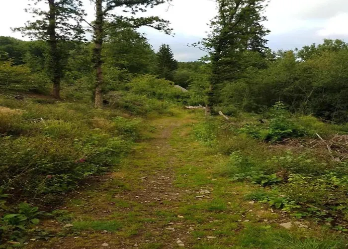 Apartman Helle Bei Mit Terrasse Willingen